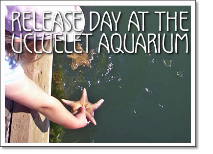 ucluelet aquarium release party - october 16, 2010