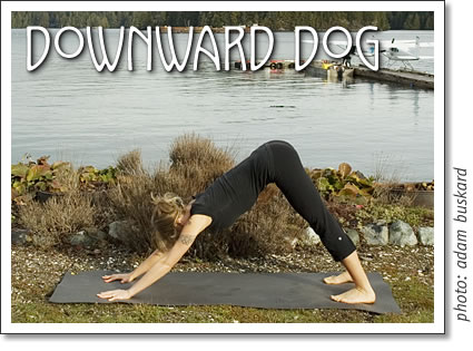 tofino yoga - downward dog