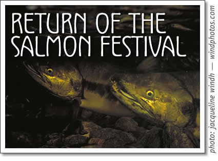 return of the salmon festival in tofino