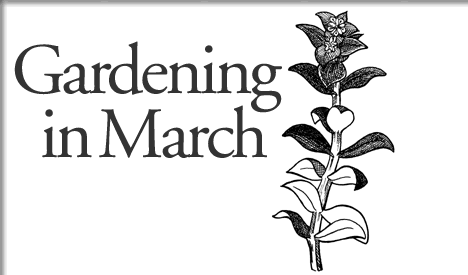 tofino gardening in march