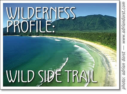 tofino  wilderness profile - wild side trail