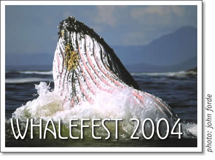 tofino whalefest 2004