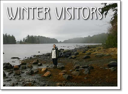 tofino winter visitors