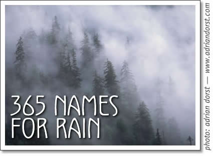 365 names for rain in tofino