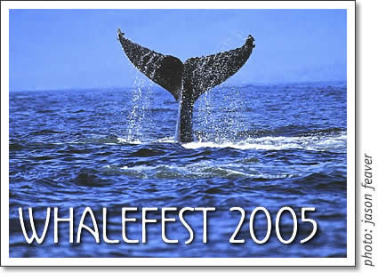tofino whalefest 2005