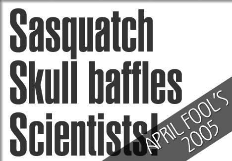 sasquatch skull baffles scientists in tofino
