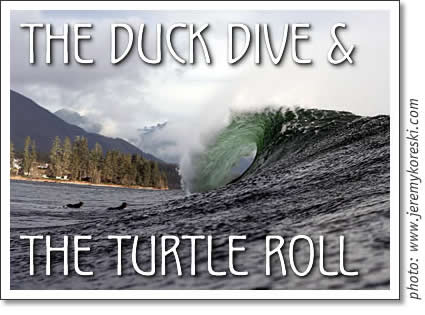tofino surfing - the duck dive and the turtle roll