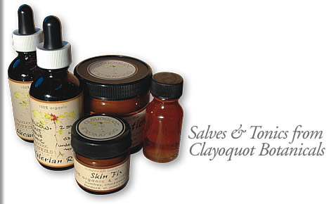 salves and tonics from clayoquot botanicals