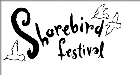 the tofino shorebird festival