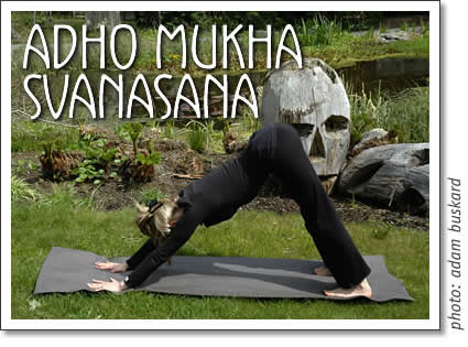 tofino yoga: adho mukha svanasana - downward facing dog pose