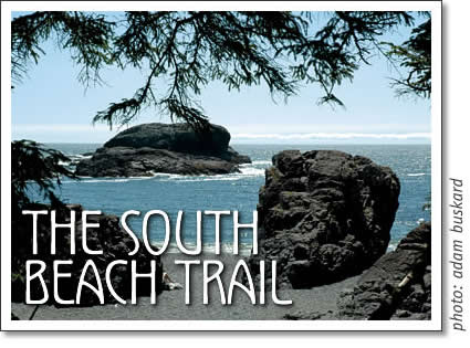 tofino trail - south beach trail