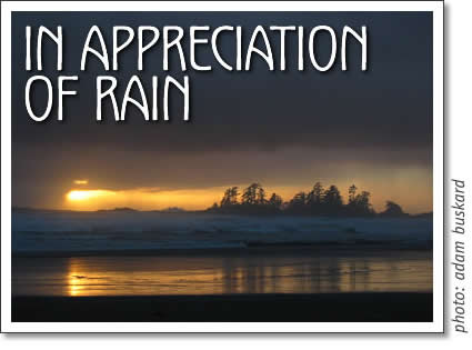 tofino weather - in appreciation of rain