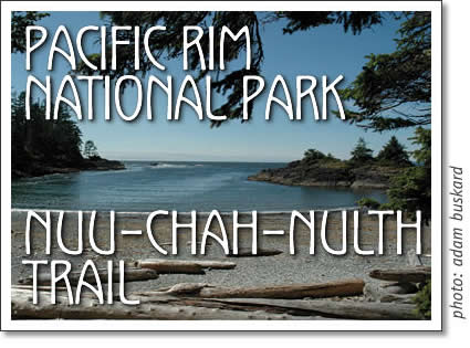 pacific rim national park - nuu-chah-nulth trail