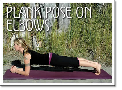 tofino yoga - plank pose on elbows