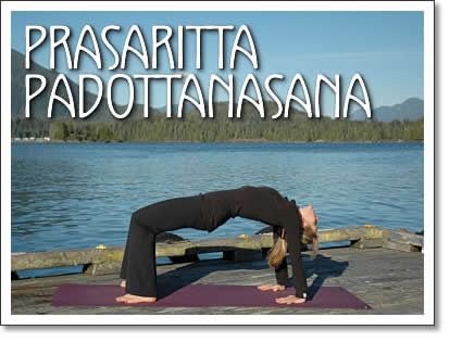 tofino yoga: Purvotanasana Variation (East Stretch)