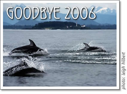 tofino goodbye 2006 dolphins at lennard island