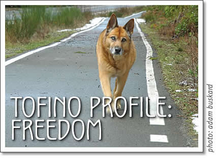 tofino profile - freedom