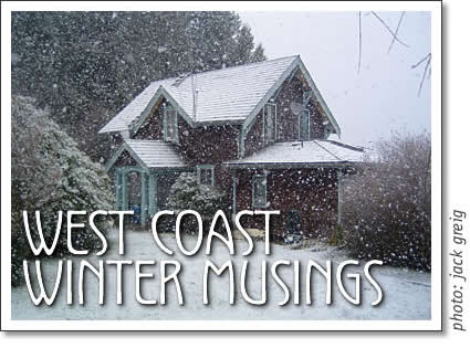 tofino in the snow - west coast winter musings