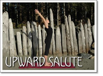 tofino yoga: upward salute