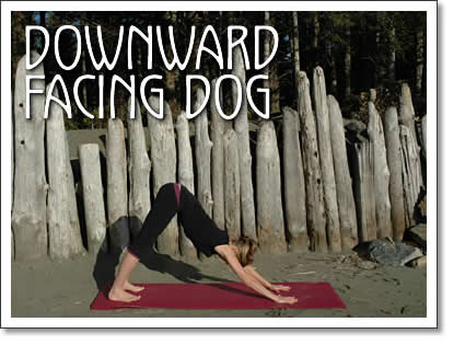tofino yoga: downward facing dog
