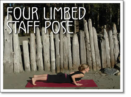 tofino yoga: four limbed staff pose