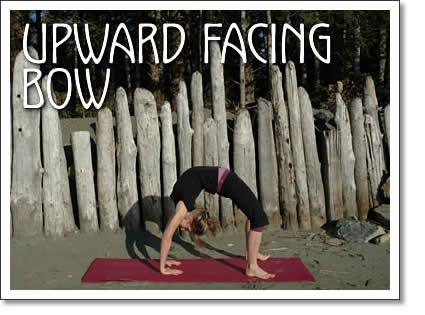 tofino yoga: upward facing bow