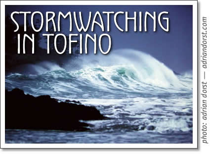 storm watching in tofino