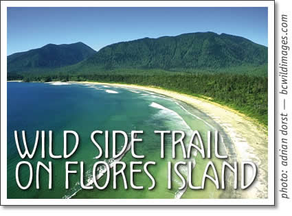 tofino hiking: flores island - the wild side trail