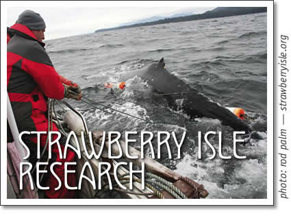 strawberry isle marine research society
