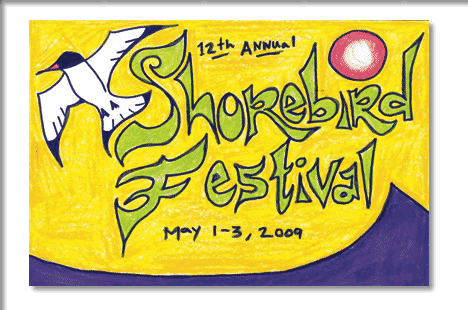 tofino shorebird festival - May 1-3, 2009
