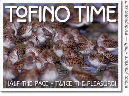 tofino time magazine: tofino activities & events april 2007