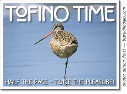 tofino time magazine april 2008