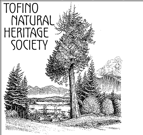 Tofino Natural Heritage Society - The Eik Street Tree