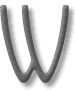 the letter 'W'