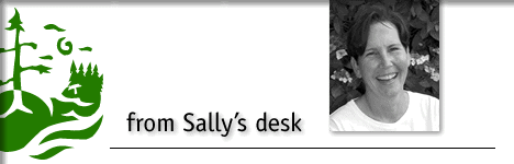 sally mole - director of tofino parks & recreation - from sally's desk
