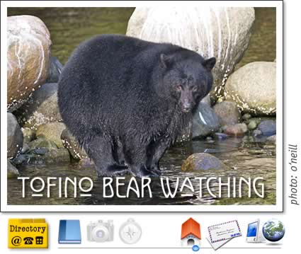 tofino bear watching