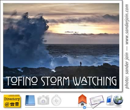 tofino stormwatching