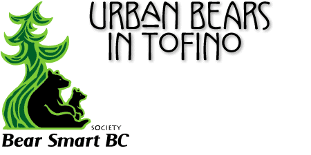tofino bear smart society - urban bears in tofino