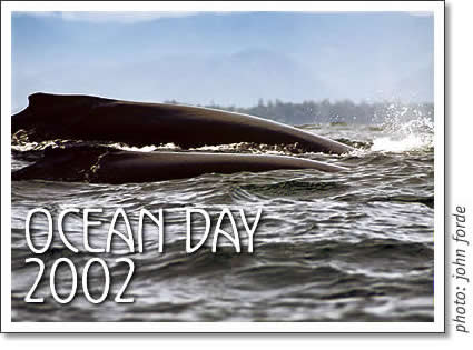 tofino - ocean day 2002