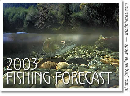 tofino fishing forecast 2003