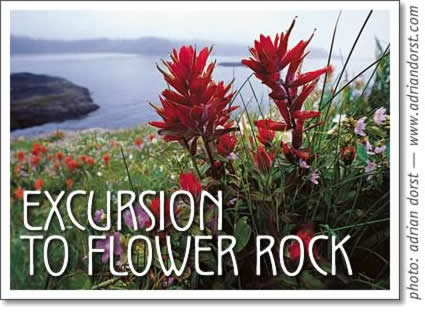 tofino outdoors - excursion to flower rock