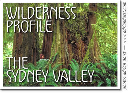 tofino wilderness profile - sydney valley