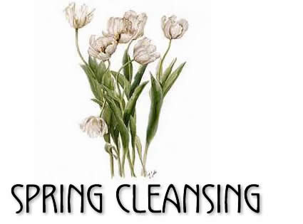 tofino wellness - spring cleansing