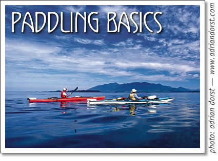 tofino seakayaking - paddling basics by dan lewis