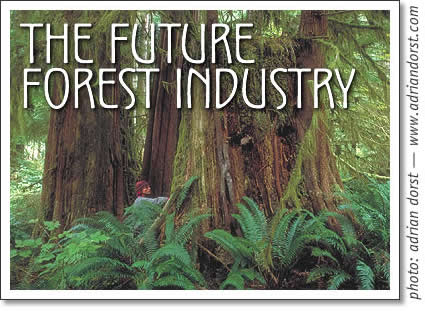 the future forest industry
