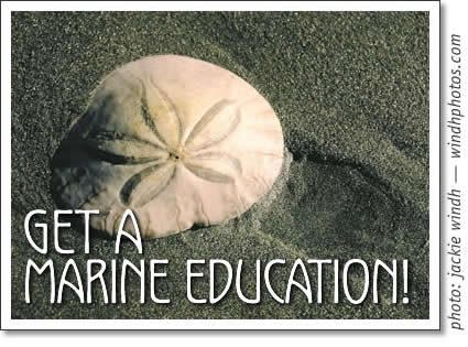 get a marine education with the bamfield marine sciences center