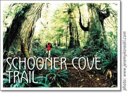 pacific rim national park - schooner cove trail