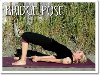 tofino yoga - bridge pose