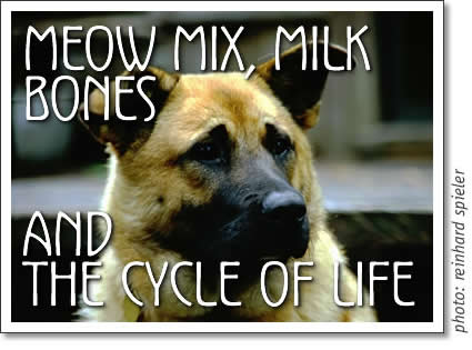 meow mix, milk bones and the cycle of life