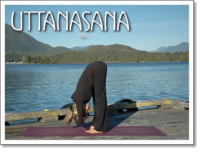 tofino yoga: Uttanasana (Standing Forward Fold)
